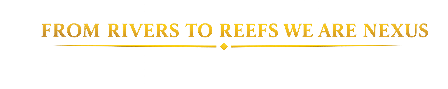 From Rivers to Reefs — We Are Nexus